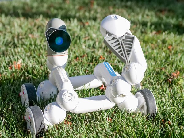 Creating a high-productivity remote workspace: tips for optimal setup